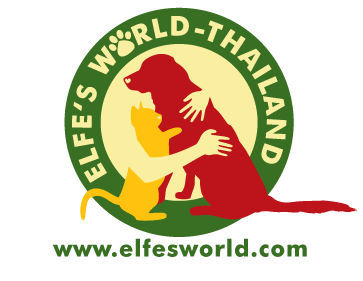ElfesWorld Thailand