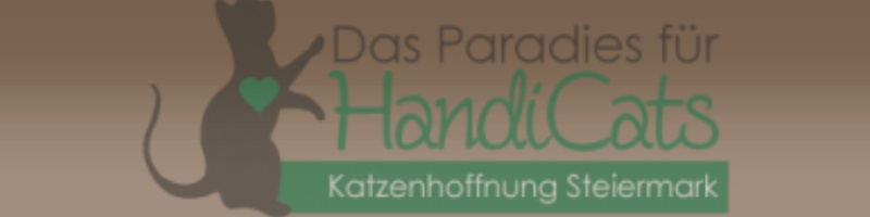 Katzenhoffnung Steiermark, das Paradies für HandiCats