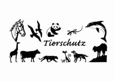 Wie funktioniert eigentlich in euren Augen Tierschutz? Wer ist ein Tierretter?