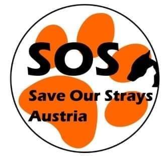 Save Our Strays Austria