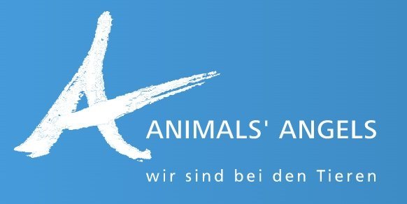 Animals’ Angels