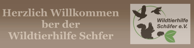 Wildtierhilfe Schäfer e. V.