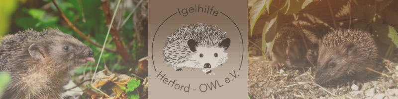 Igelhilfe Herford-OWL e. V.
