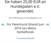 hundepaten-06-19