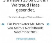 mato-11-19