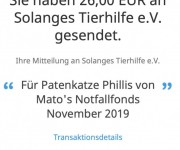 phillis-11-19