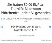 svetlana-11-20