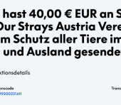 Save Our Strays Austria